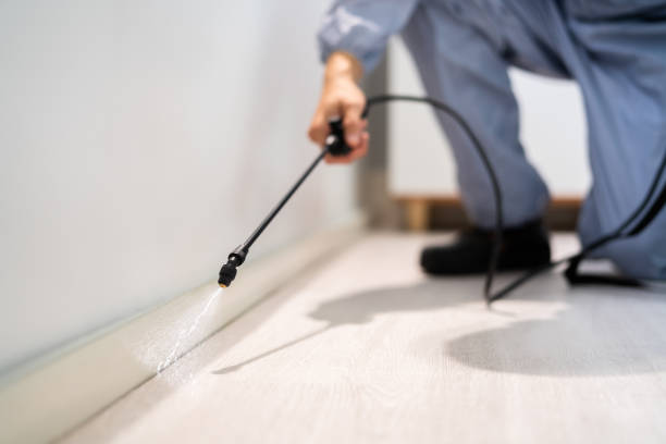 Licensed Bed Bug Control service in Suitland, MD - Nex Pest Control