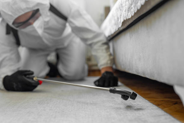 Professional Bed Bug Control technician working in Suitland, MD