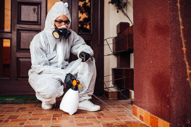 Reliable Bed Bug Control contractor in Suitland, MD by Nex Pest Control