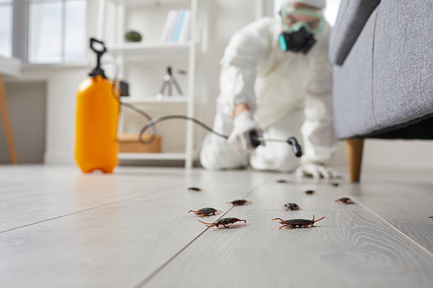 Trusted Bed Bug Control service in Suitland, MD - Nex Pest Control