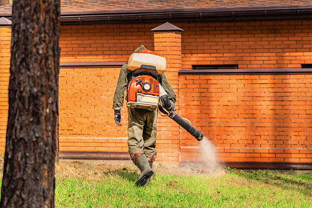 Trusted Emergency Pest Control service in Suitland, MD - Nex Pest Control